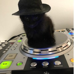 Cleaning for Halloween(DjBoo 2019 Preview mix)