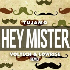 Tujamo - Hey Mister (Voltech & Lowrise Remix)