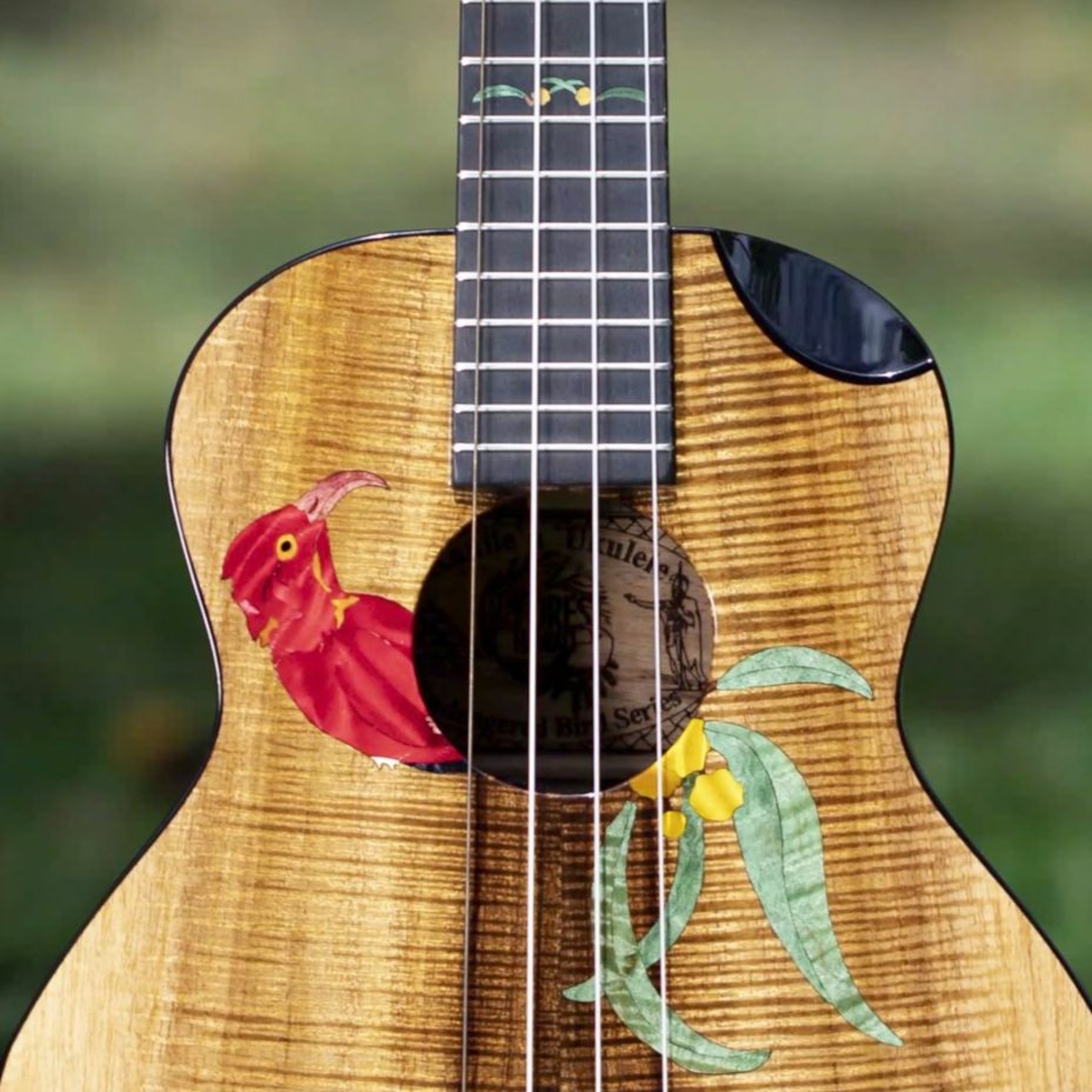 The Ukulele Review Podcast