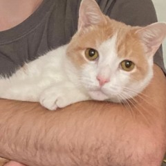 Brain, Bones and Beyond / Biennial Breakfast for Brats