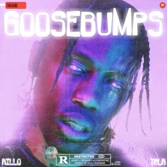 GOOSEBUMPS FLIP W/T8LR