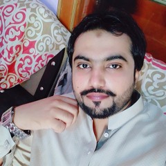 Me_lajpalan_de_larr_laggi_aa