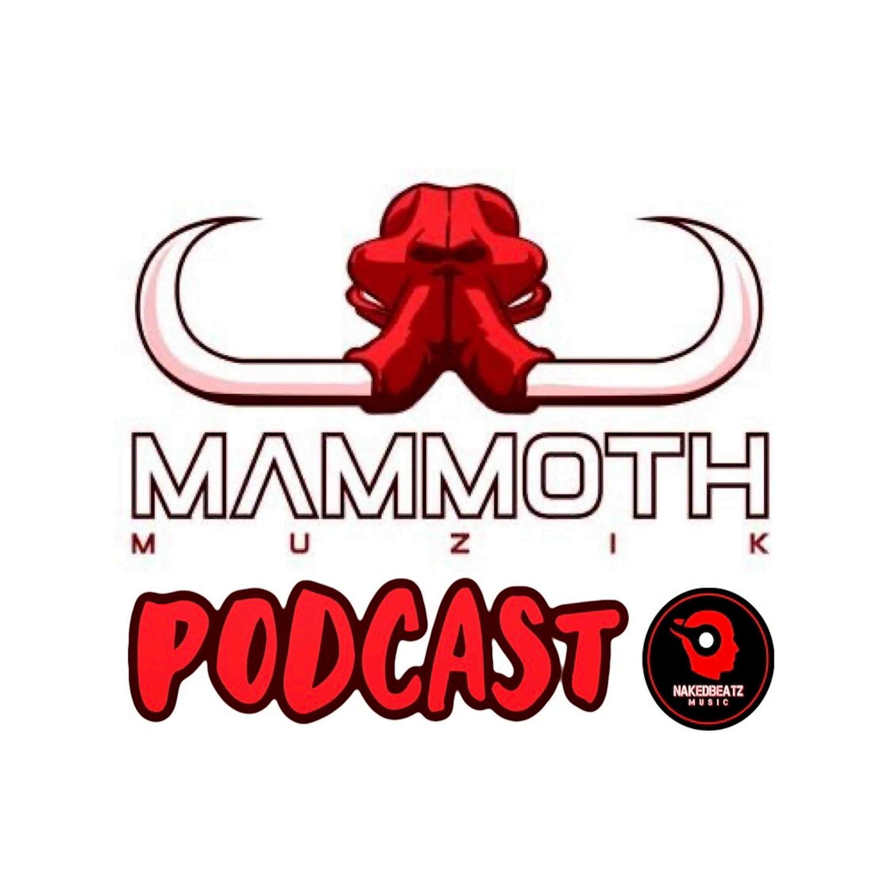Nakedbeatz Podcast