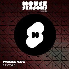 Infected Mushroom - I Wish (Vinicius Nape Remix)