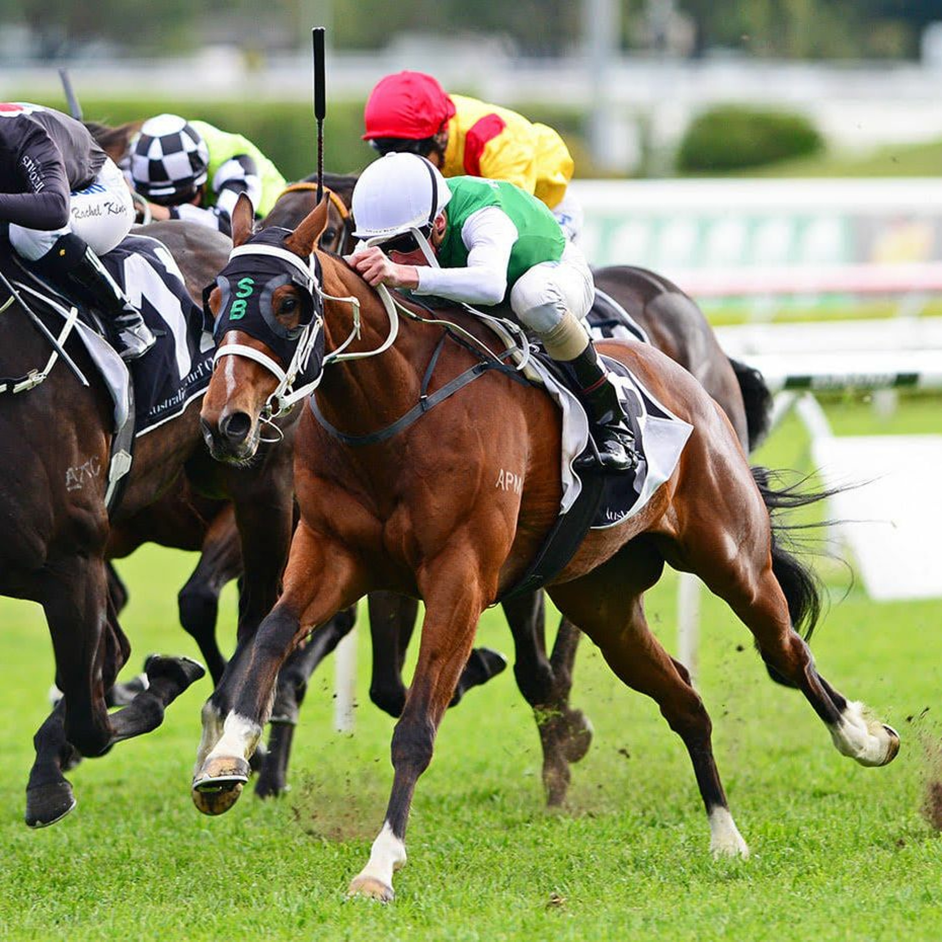 Tasmanian trainer Scott Brunton talks about his Golden Eagle chance The Inevitable episode artwork