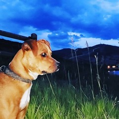 Phone Number ✨🤙