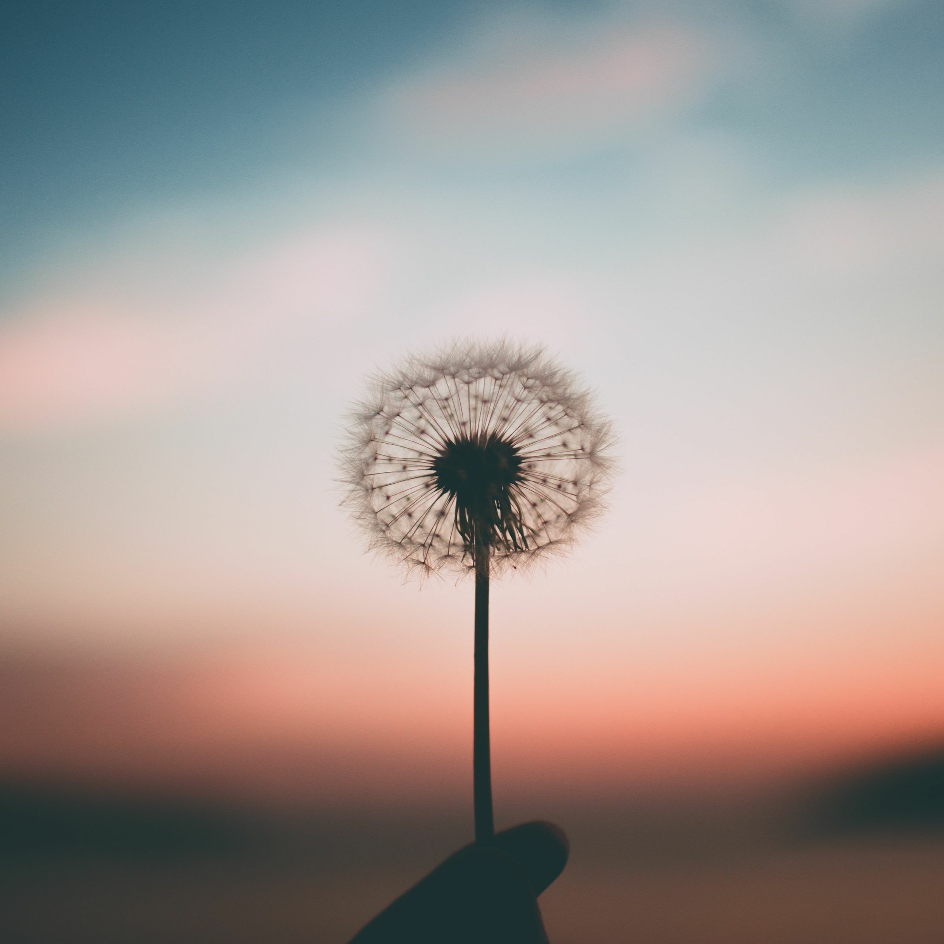 Talking Joy Podcast