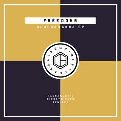 FreedomB - Nightmare In Greifswald (DirrtyDishes Remix) SNIPPET