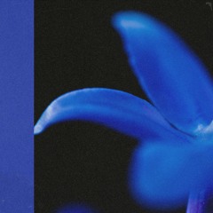 Solitude Suite VI