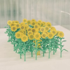 it's good to see you again. (ｓｐ４０４ｓｘ) (sunflowers out everywhere!)