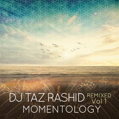 Paint The Sky  (Momentology Remix)