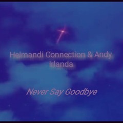 Helmandi Connection & Andy Irlanda - Never Say Goodbye
