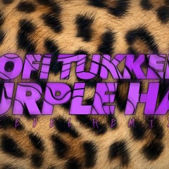 SOFI TUKKER - PURPLE HAT (RIEDEL Edit/Remix)