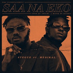 SaaNaEko Ft Medikal [Remix]