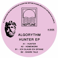 Algorythm - Ich Glaub Ich Spinne