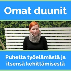 K2:J5 Asiantuntija Satu Irisvik – Vuorovaikutus, kohtaamiset ja tiimiäly työelämätaitoina