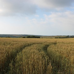 Everykisscuts -#sketches