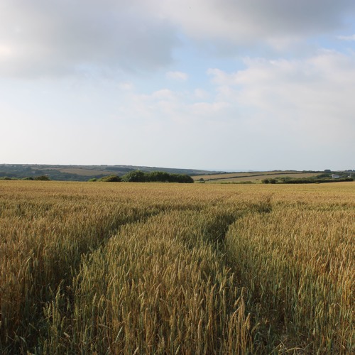 Everykisscuts -#sketches