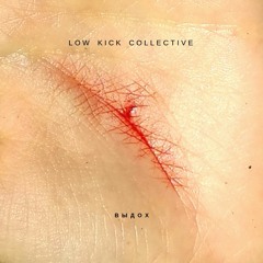 Low Kick Collective - Bloodworm
