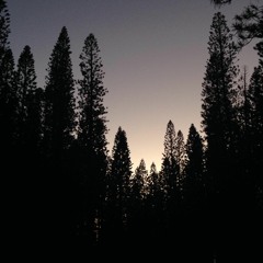 Narnia (Prod. Blue Skai)