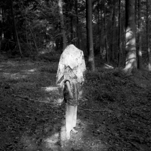 Garden of Forking Paths (Zoë McPherson Rework)