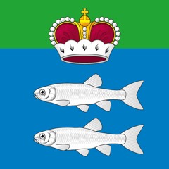 DJ Chugi (aka Tankuyo) live set at forest rave