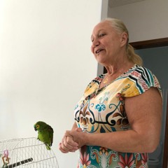 Encontro com o papagaio Verdinho e com sua guardiã Maria Angélica em Ubatuba