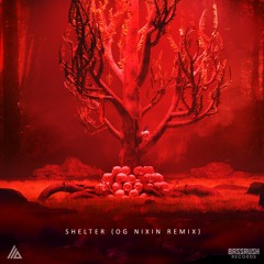 ATLiens - Shelter (OG Nixin Remix)
