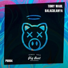 Tomy Wahl - I like It  [Pigbeatrecordsoon]