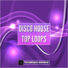 TS DISCO HOUSE TOP LOOPS DEMO TRACKS 125 BPM .