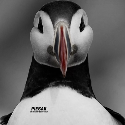Piesak