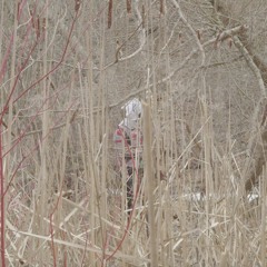 R.I.P 2019 Memory Mix