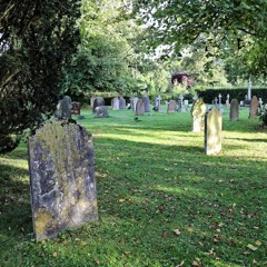 Cemeteries Offer A Green Refuge For Urban Plant And Animal Life