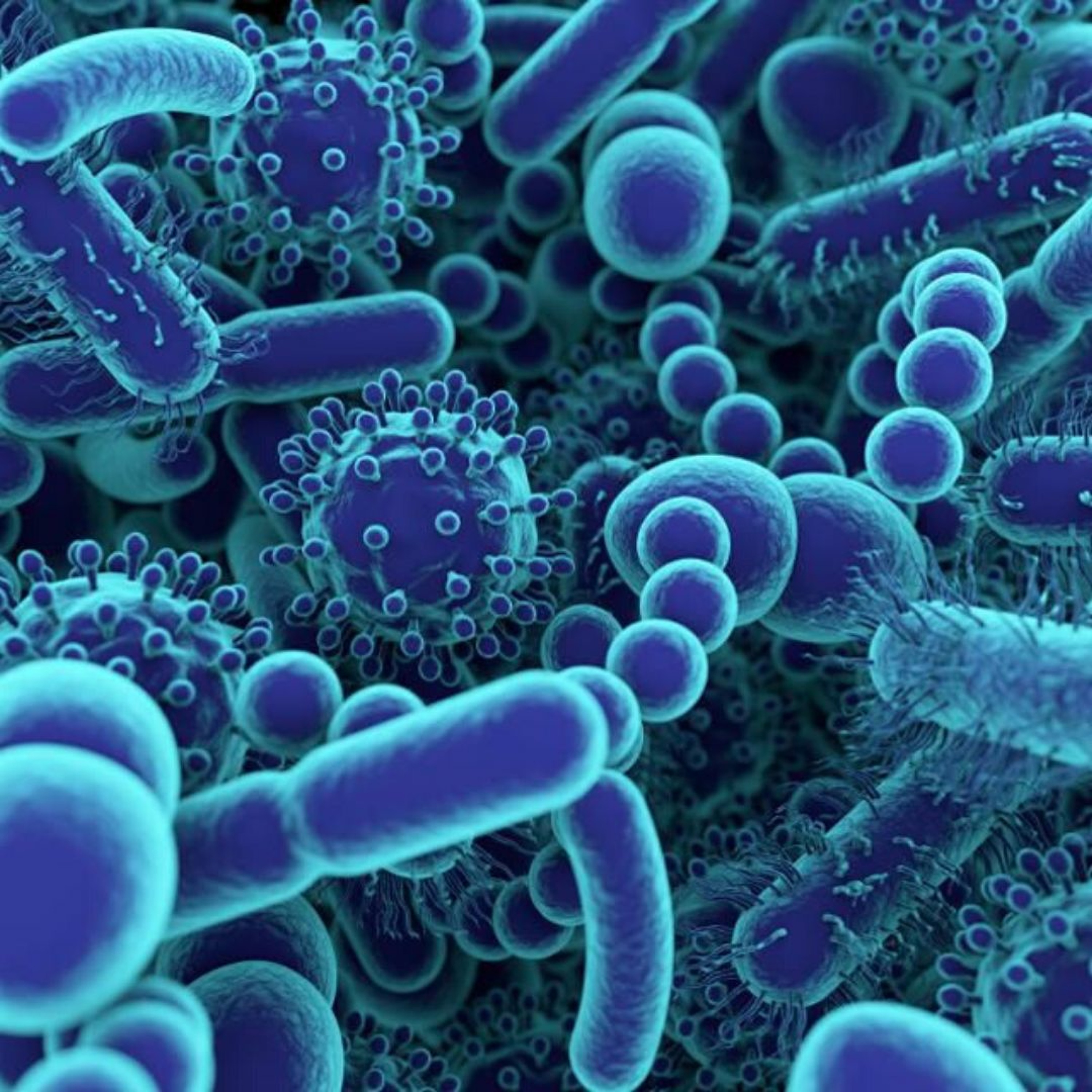 EP80: The Gut Microbiome Episode episode artwork