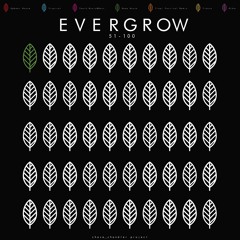 EVERGROW #51 - The Circle Of Pop (Deep/House/Remix)