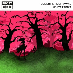 Bolier Ft. Tiggi Hawke - White Rabbit