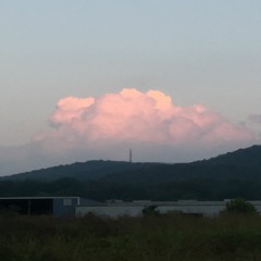 The Summer Of My Life (I Just Wanted You To Know)