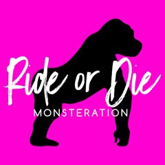 Ride or Die Freestyle (Megan thee Stallion & VickeeLo cover)