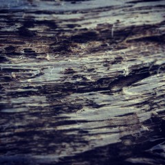 Soundscapes & Cinematics 01 - 9