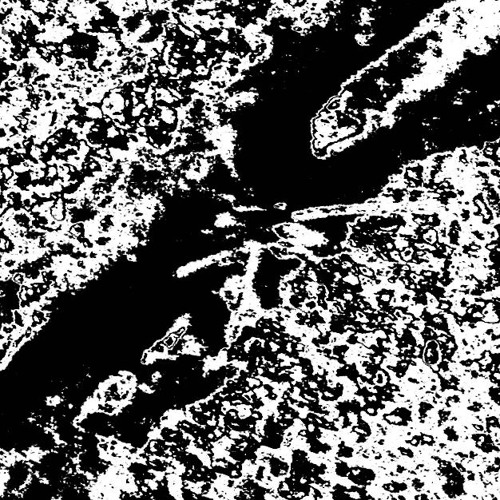 Stream type infinity civilization by m.s.younce | Listen online for ...