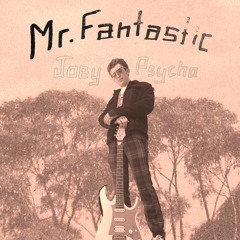 Mr Fantastic