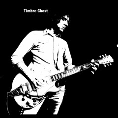 Everyone Wants To Be Townes Van Zandt - 2019 demo