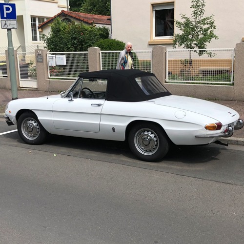 Rückenpolster Vordersitz Alfa Spider ( 105/115 ) Bj.1970-1986