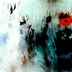 No Desesperes, Amigo