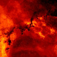 VAVA - Asteroid