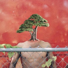 Watch Your Step  ( Kyngs3Ff x Zionhill)