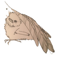 #7 Chick in the Fold