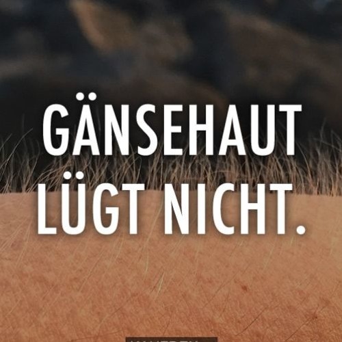 losti djset