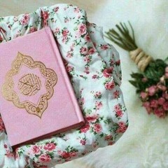 لا تترك القرآن - خذها قاعدة || محمد المختار الشنقيطي
