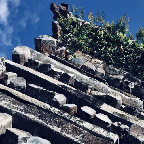 all for you siren jam